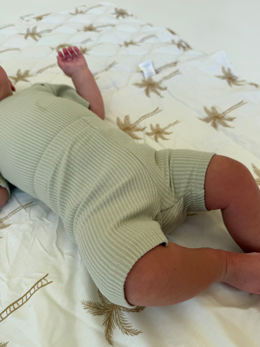 Essentials | Ribbed Bike Shorts | Olive