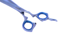 Essentials | Ribbed Bike Shorts | Olive