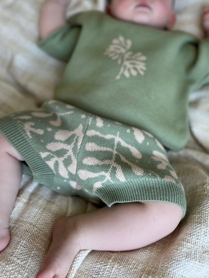 Fern Knit Shorts
